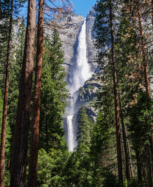 Yosemite Falls - Day 171 / 365