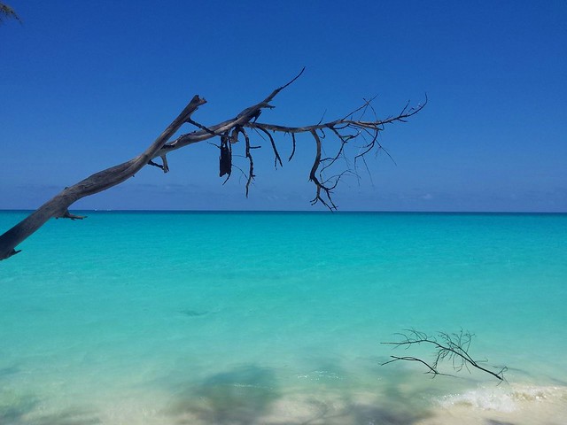 Bimini_Bahamas_Islands