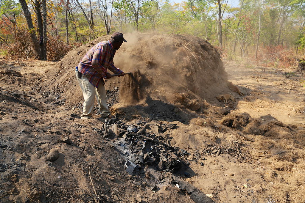 A man pull out a piece of wood that has been turned into charcoal, after being dumped by dirt and...