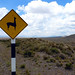 Vicuña sign, Peru