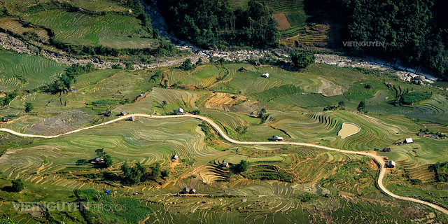 Terraced paddy fields are used widely in rice