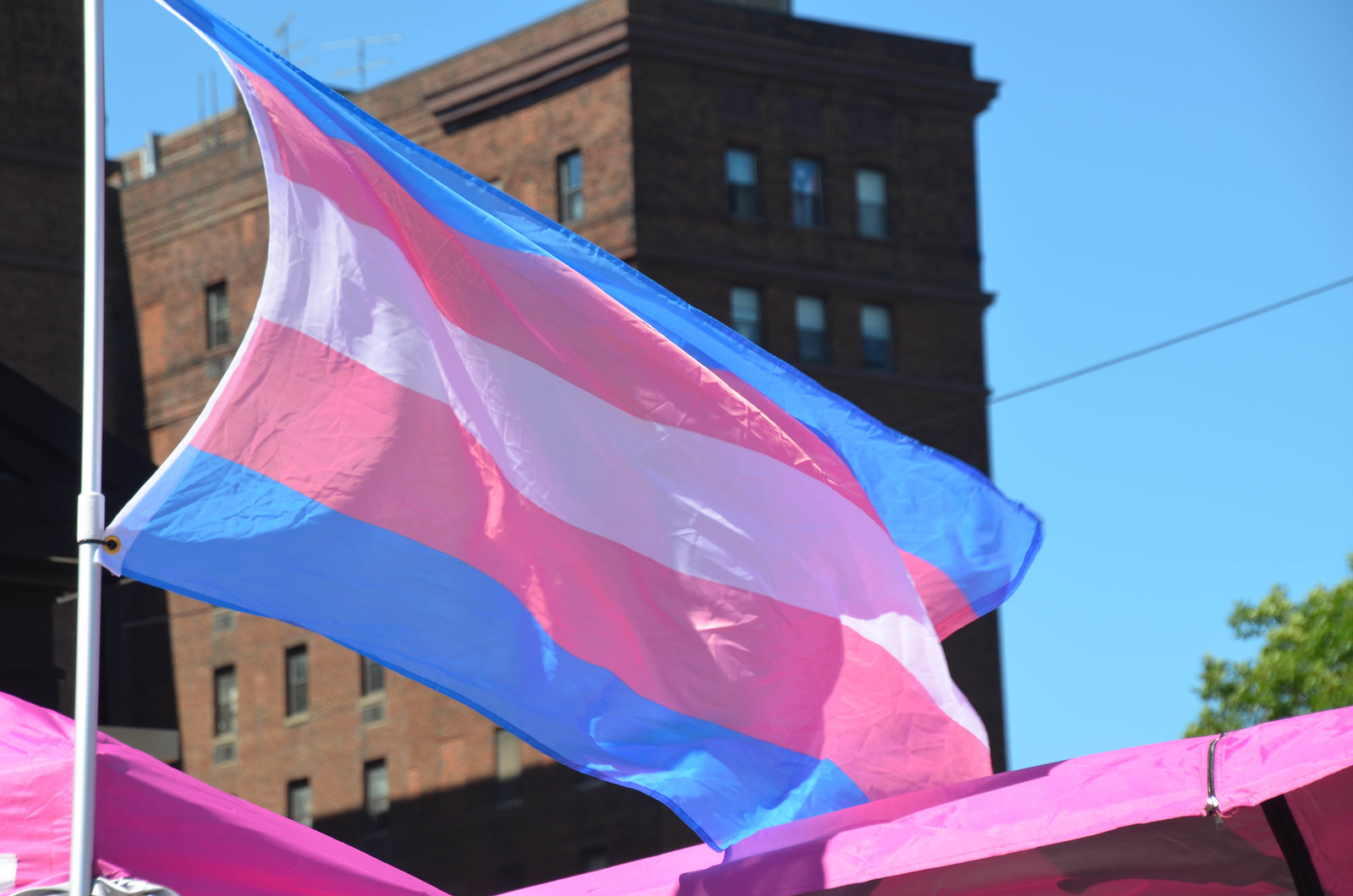Trans Pride flag at Pride Fest