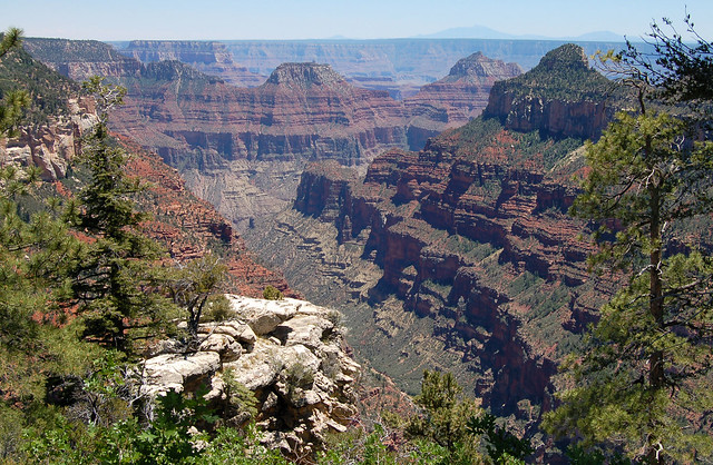 Grand Canyon National Park: Transept Canyon from Widforss Trail