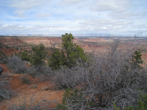 201633_0007 by GSEC, View of White Cliffsbuntingpoint buntingtrail cottonwoodpoint kanab unitedstates utah vermilioncliff