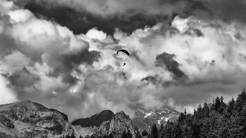 bw blackandwhite bnw noiretblanc sky cloud parachute paraglider outdoor extremesport fly montains alps tree people realpeople freedom forest
