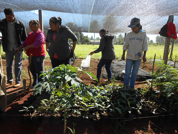 Proyecto “Mejora de la salud ambiental y humana en Tava´i a través de la agroforesteria desarrollada por mujeres rurales organizadas”