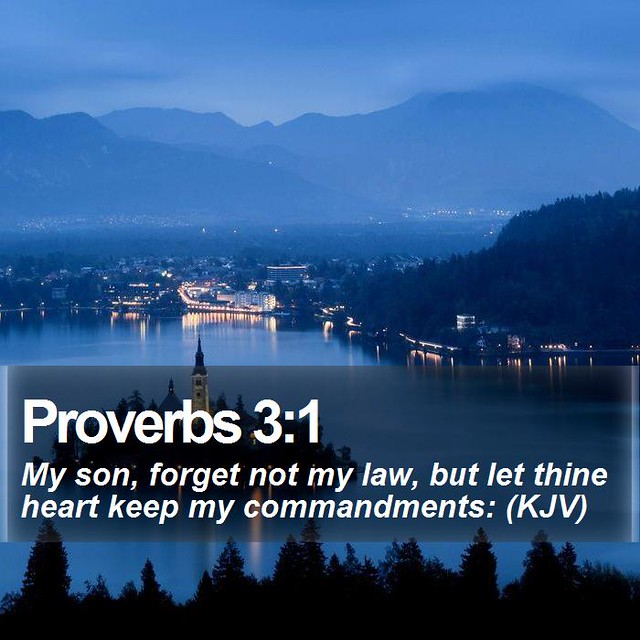 Daily Bible Verse - Proverbs 3:1