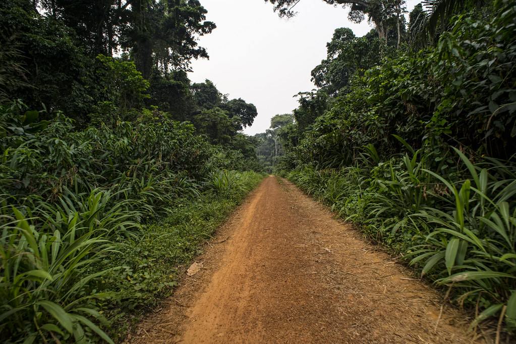 View on the way back to Lukolela, Democratic Republic of Congo.