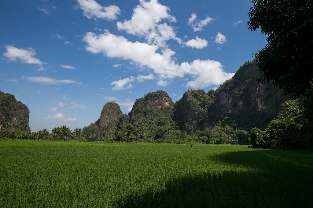 Maros, Indonesia. A farmer walks through rice paddy field in Rammang-rammang village, South Sulawesi, Indonesia on June 8, 2014.