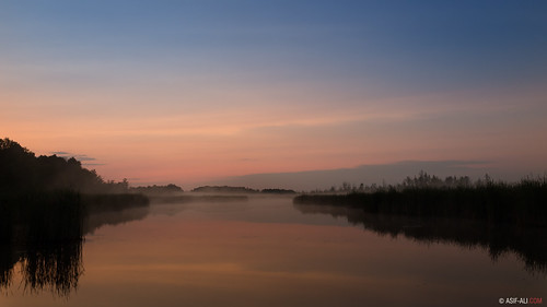 morning mist reflection nature water sunrise canon twilight merbleue canonpowershotg1xmarkii