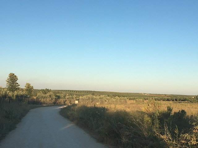 Paisajes rurales de Pilas. Sevilla