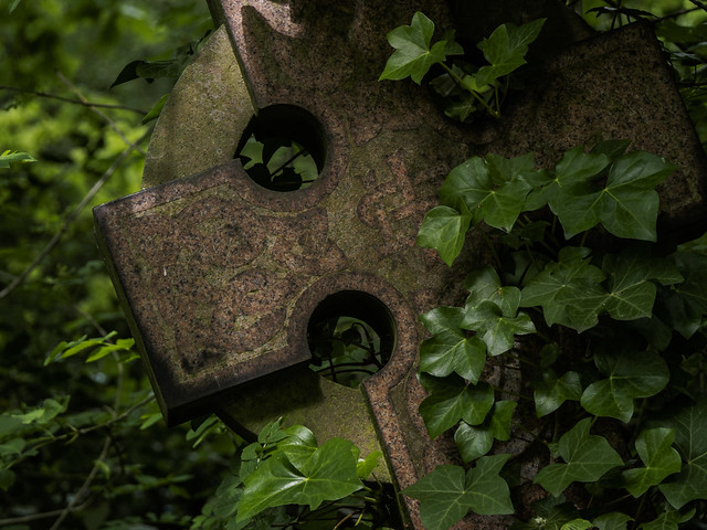 Ivy and the Cross - Abney Park Cemetery May 2017