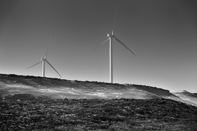 Taking in Views of Wind Turbines While Driving Along the Interstate (Black & White)