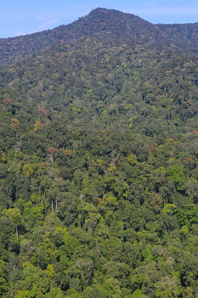 Aerial view of the landscape around Halimun Salak National Park, West Java, Indonesia.