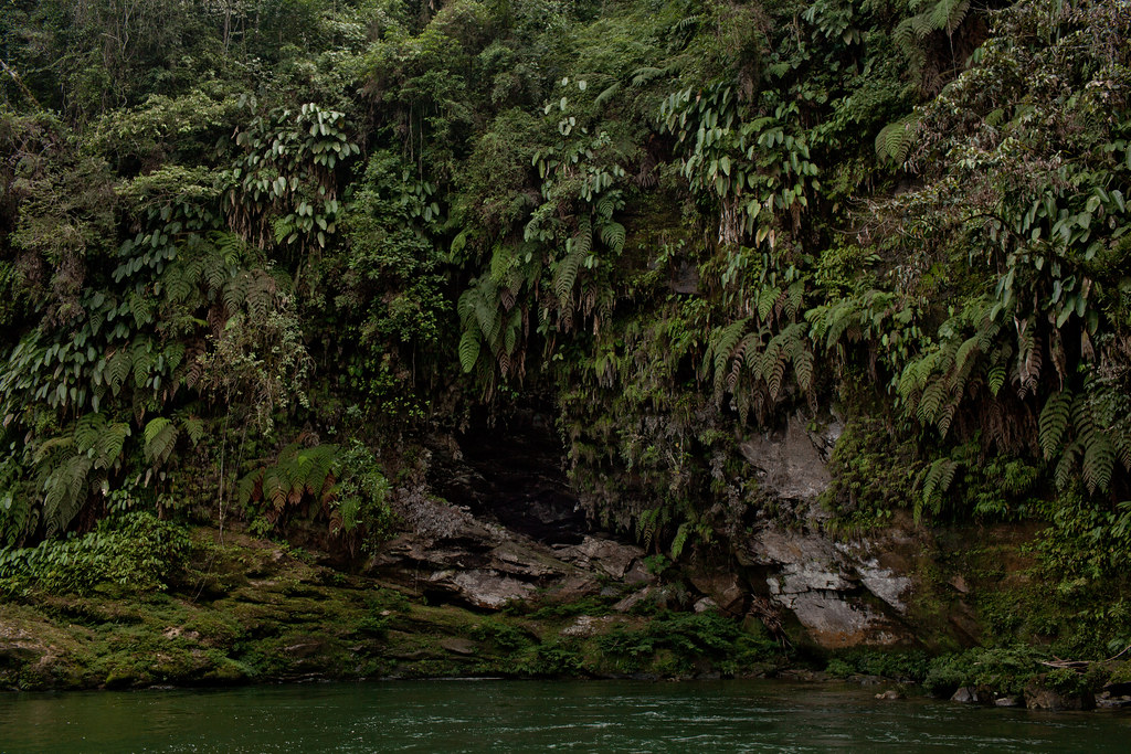 Jondachi River is one of the last pristine rivers, Ecuador.