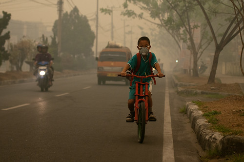 Cycling with a mask | by CIFOR