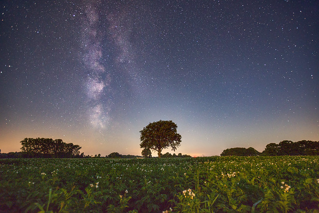 Starry sky over the potato field