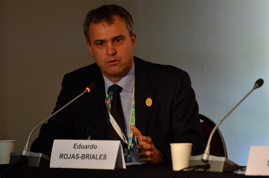 Eduardo Rojas-Briales, Assistant Director General, Forestry Department, Food and Agriculture Organization of the United Nations, Chair of the Collaborative Partnership...