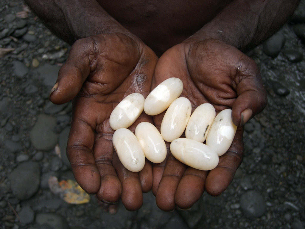 A Papuan man shows a collection of white stones. Papua, Indonesia.