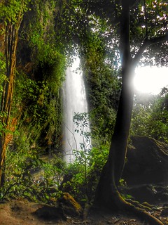 Cascada #Misol-Ha #Chiapas
