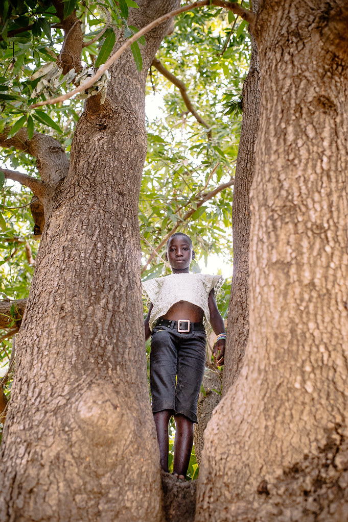 Honorine, 13 years old, in the process of collecting mangos for personal consumption and sale, Sibi village, Burkina Faso.