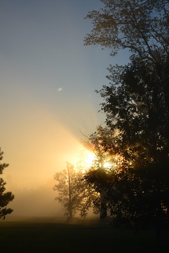 mist fog morning lockportny niagaracountyny nikon sunrise nature