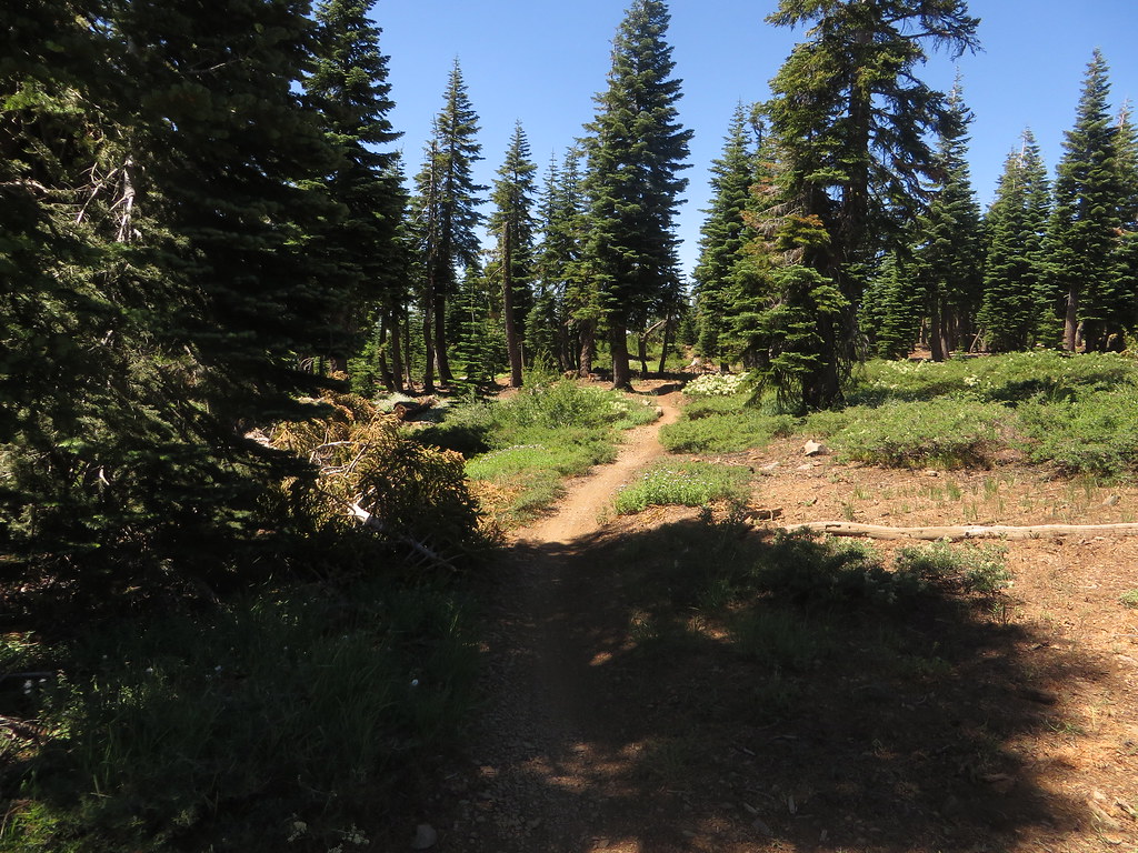 Pack Saddle Loop Trail