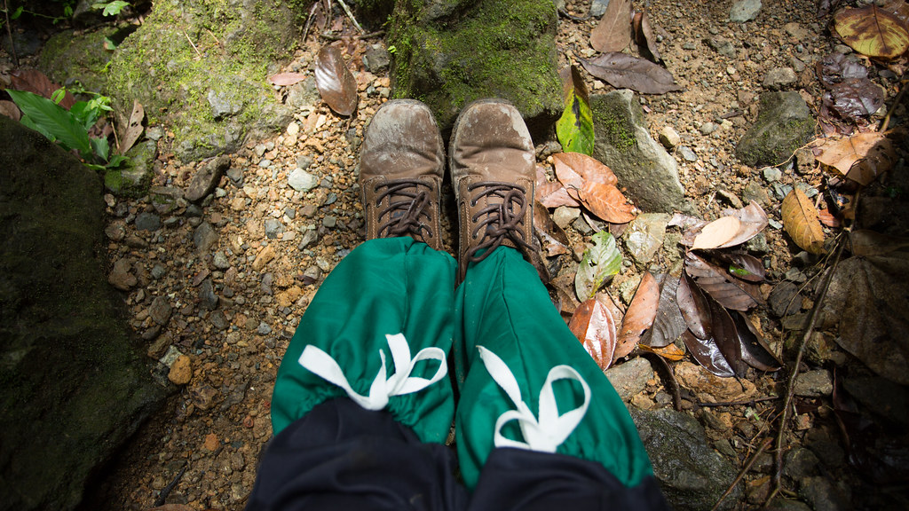 Gaiters are essential equipment in the tropic forests.