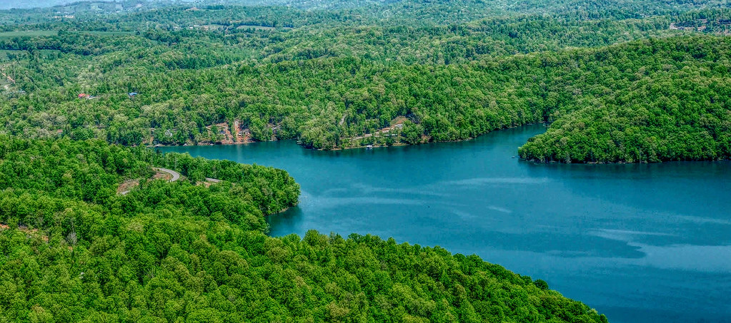 cove norris real estate for sale on norris lake
