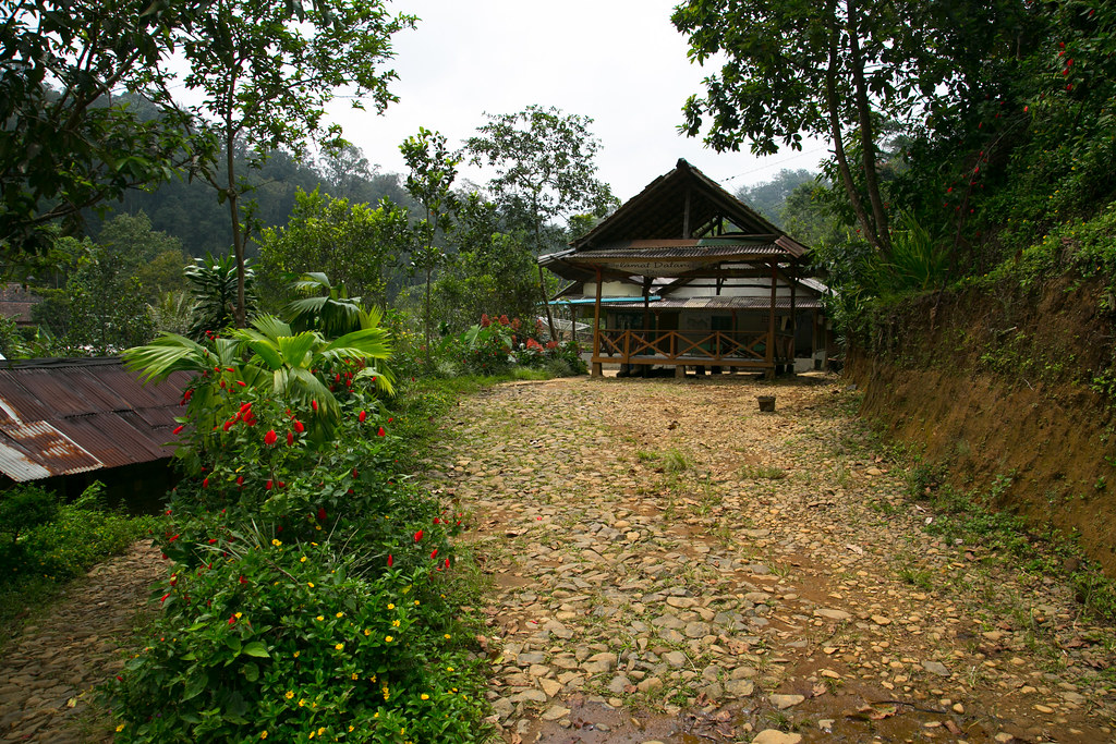 Citalahab a small village in Gunung Halimun-Salak National Park, Java, Indonesia.