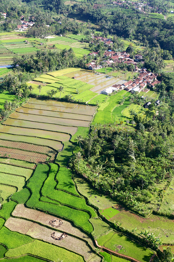 Landscapes of Gunung Halimun Salak National Park.