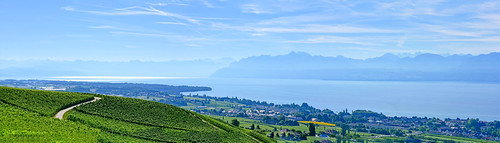 rolle vaud suisse paysages panorama léman lacôte