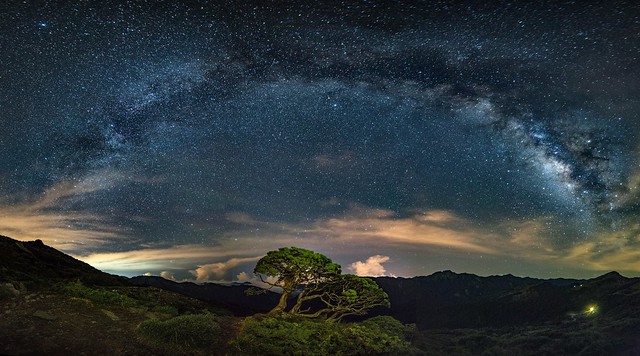 合歡山.北峰玉山圓柏~弓形銀河全景~  Galaxy panorama