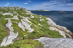 Polly's Cove Hiking Trail