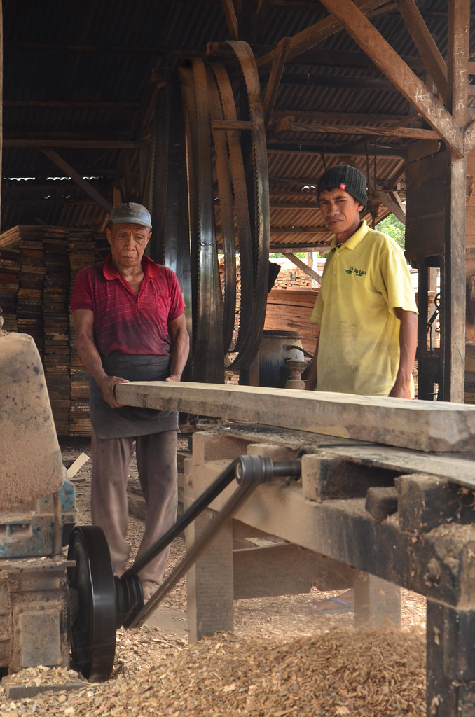 Smallholder sawmill at District of West Seram.