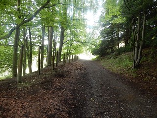 The Old Carriage Road Dorking Circular