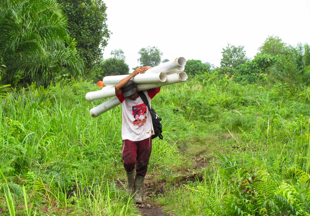 A man carrying PVC tubes to an oil palm plantation. Jambi, Indonesia.
