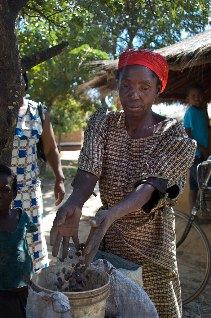 A jatropha farmer from Chinsali district in northern Zambia sells her first crop after the introduction of an NGO-supported effort...