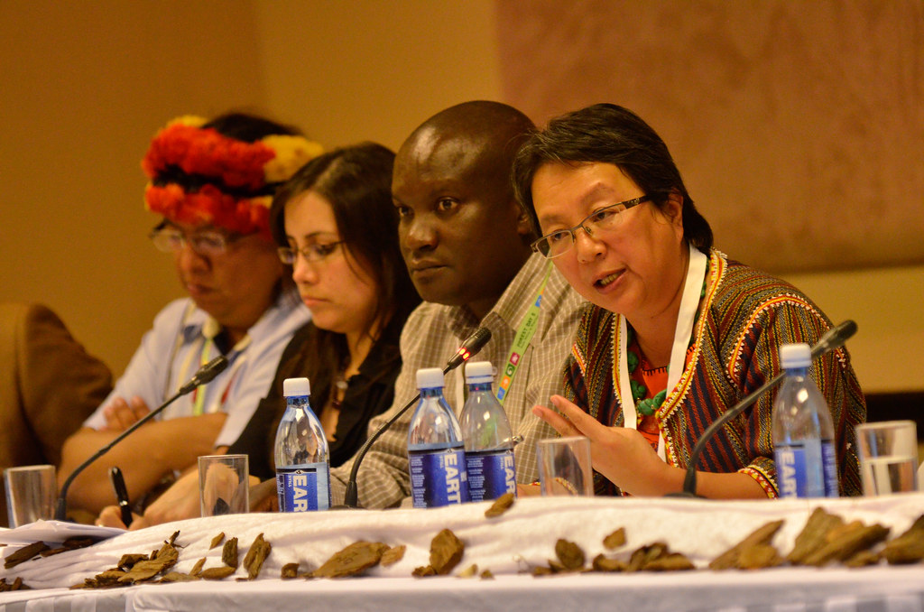 (from right to left) Victoria Tauli-Corpuz, Indigenous Peoples’ International Centre for Policy Research and Education (Tebtebba), Philippines, Kaninke Sena, Indigenous...