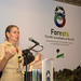 Forests: The 8th roundtable at RIO+20