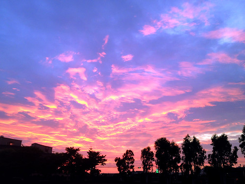 IMG_4448 by Mark_Yuan, 