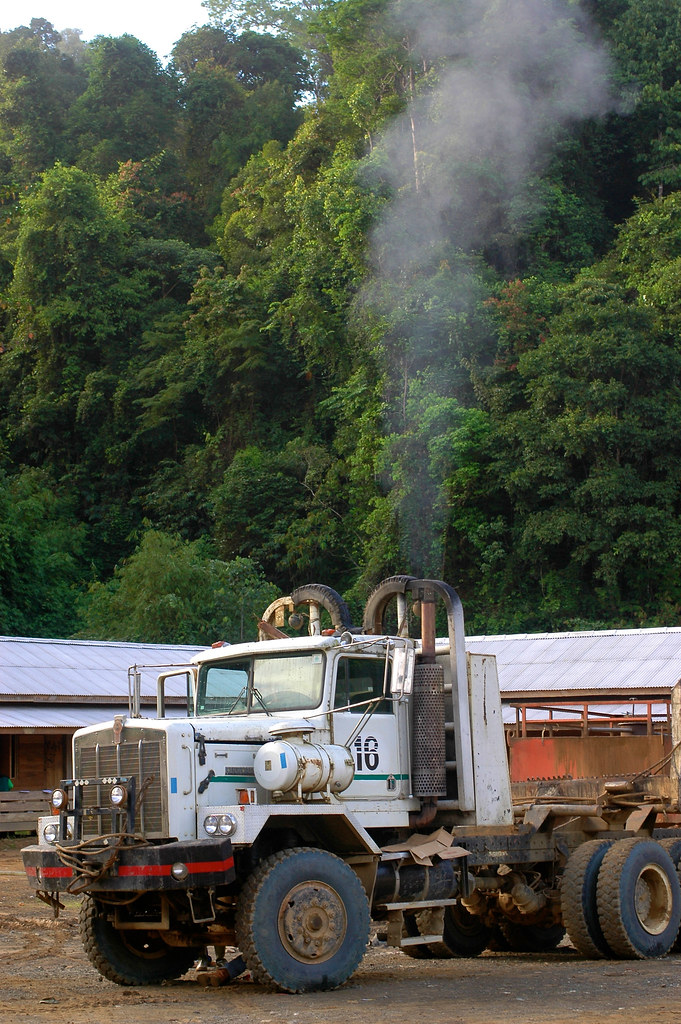 A truck ready to be loaded with logs in Gunung Lumut, East Kalimantan, Indonesia.