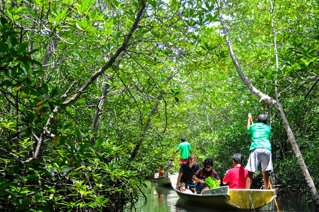 As part of the workshop, journalists visited the mangrove restoration projects on Nusa Lembongan, off Bali, Indonesia, April 9-11, 2011.