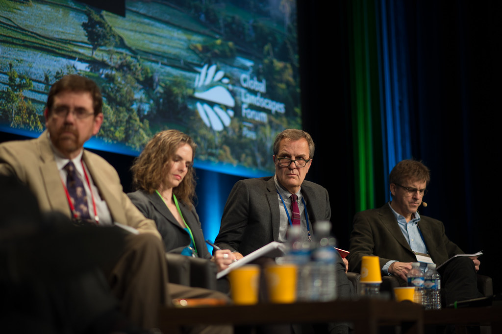 Discussion Forum: Taking stock of REDD+: Past, present and future