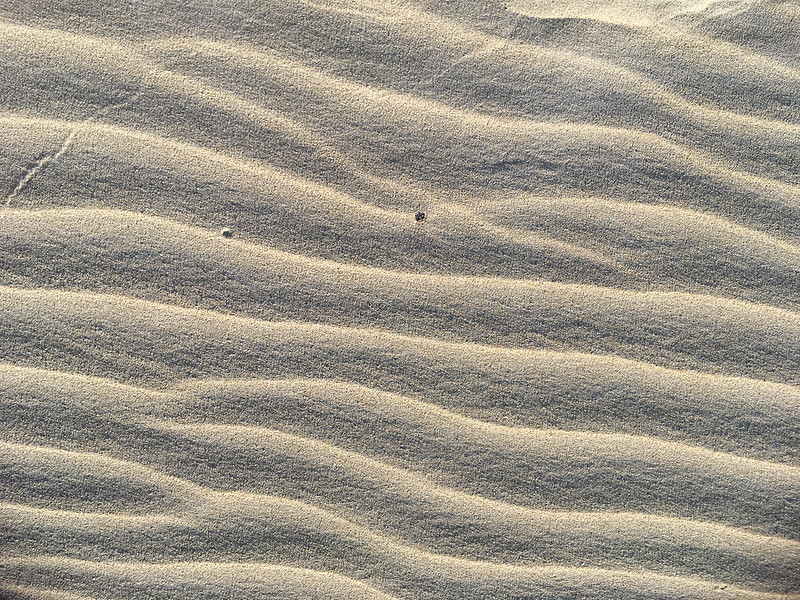 South Australia - Fowlers Bay - sand dune