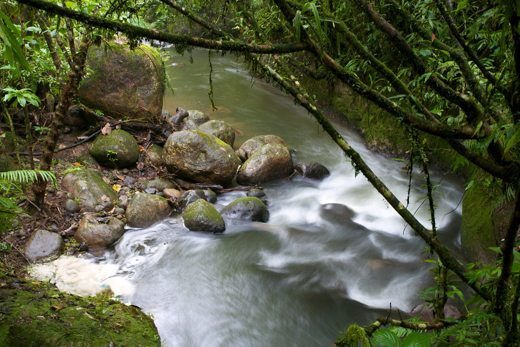 A stream in Gunung Halimun-Salak National Park, Java, Indonesia.