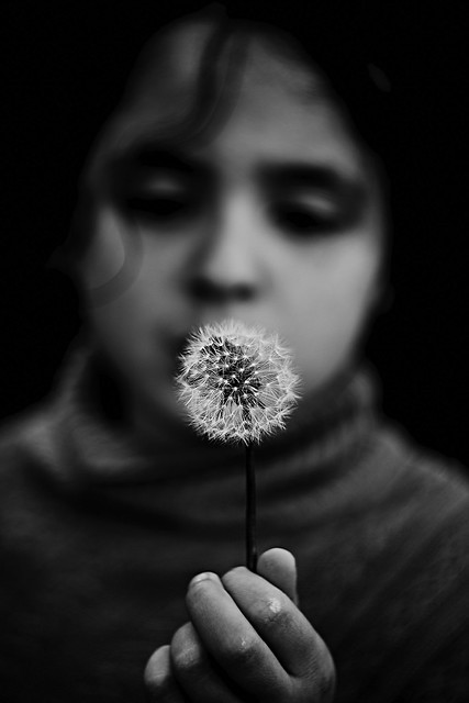 The girl and the dandelion