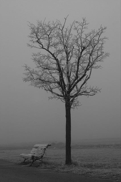 Winter outside the cementery