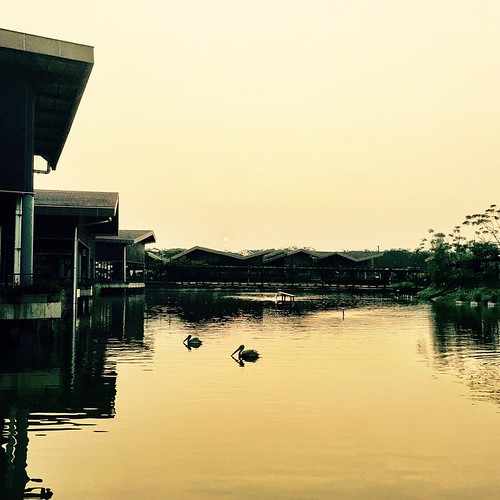 #sunset #lake #bukan #bebek #instagram #instagramer #iphonesia #instagramoftheday by zonkee, square squareformat iphoneography instagramapp uploaded:by=instagram foursquare:venue=51f4f6e9498efb