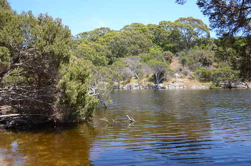 river water chapmanriver southaustralia australia kangarooisland